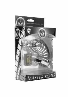 Master Series Asylum 6 Ring Locking Chastity Cock Cage