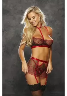 Shirley of Hollywood 25796 Heart Embroidery Suspender Belt