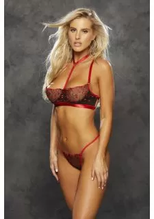 Shirley of Hollywood 25795 Heart Embroidery Bra Set