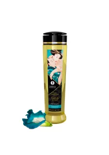 Shunga Massage Oil-Island Blossoms