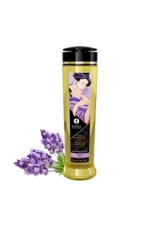 Shunga Massage Oil-Lavender