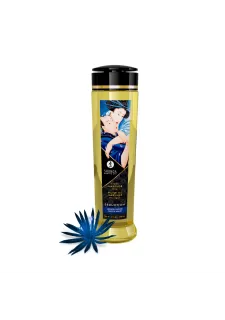 Shunga Massage Oil-Midnight Flower