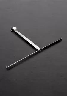 Shots - Steel The Anal Impaler - Stainless Steel