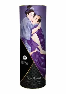 Shunga New Carnal Pleasures Kit