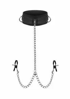Master Series Submission Collar And Nipple Clamp Union