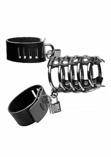 Strict Leather Gates of Hell Chastity Device