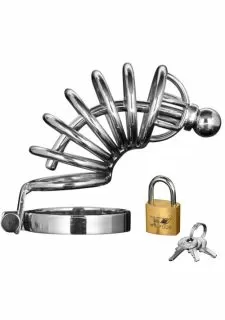 Master Series Asylum 6 Ring Locking Chastity Cock Cage