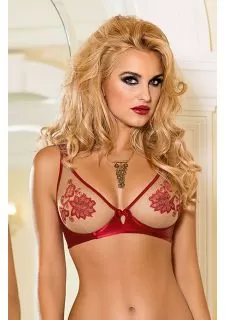 Roza Mehendi Soft Cup Bra Claret