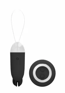 Simplicity Noah - Dual Rechargeable Vibrating Remote Toy